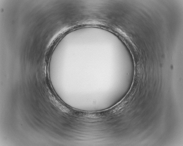 X0000085831408200704091646