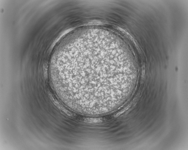 X0000085831409200704091646