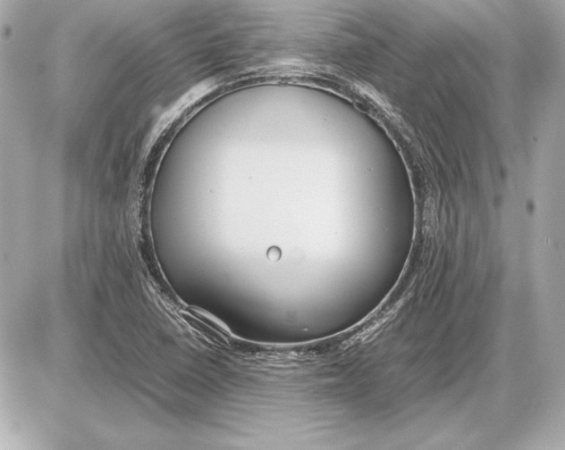 X0000085831410200704091646