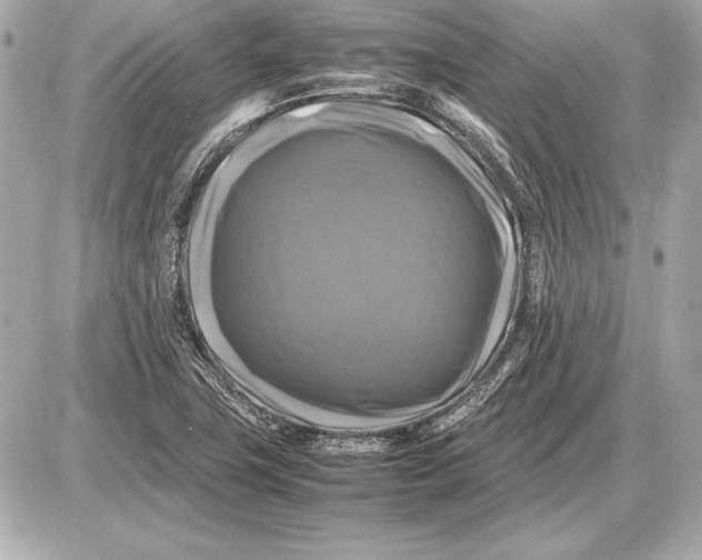 X0000085831411200704091646