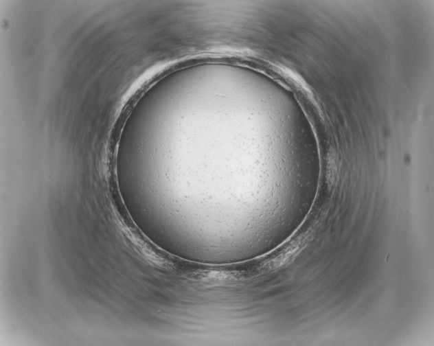 X0000085831412200704091646