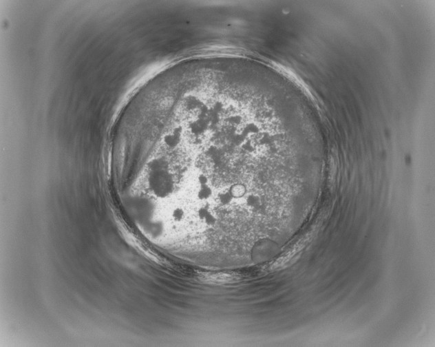 X0000085831413200704091646