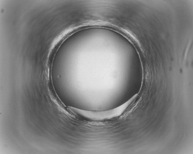 X0000085831414200704091646