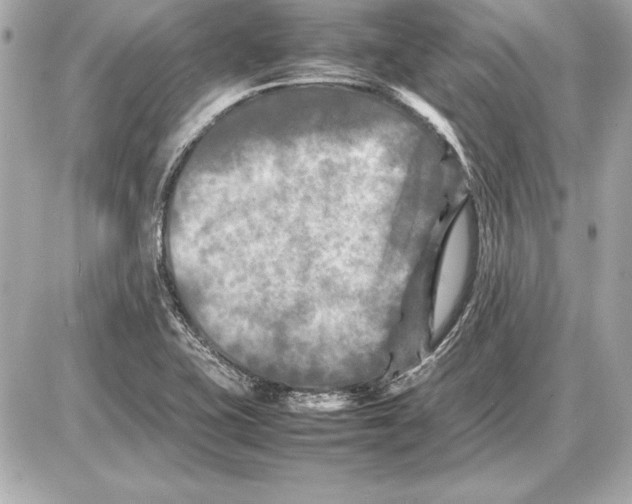 X0000085831415200704091646