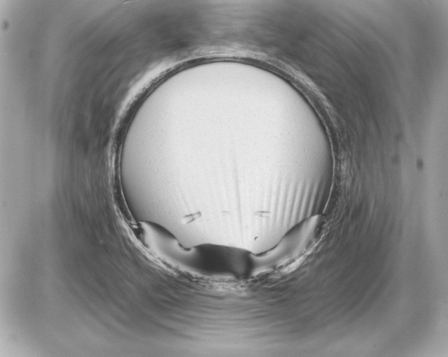 X0000085831416200704091646