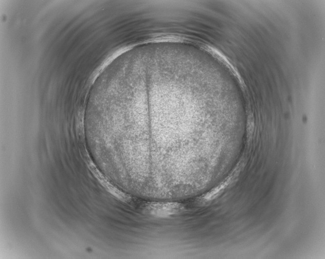 X0000085831417200704091646