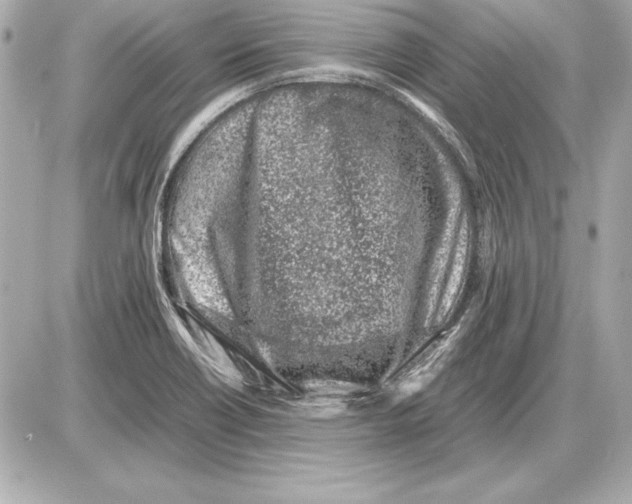 X0000085831418200704091646