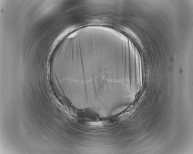 X0000085831419200704091646