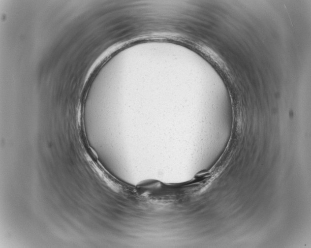 X0000085831420200704091646