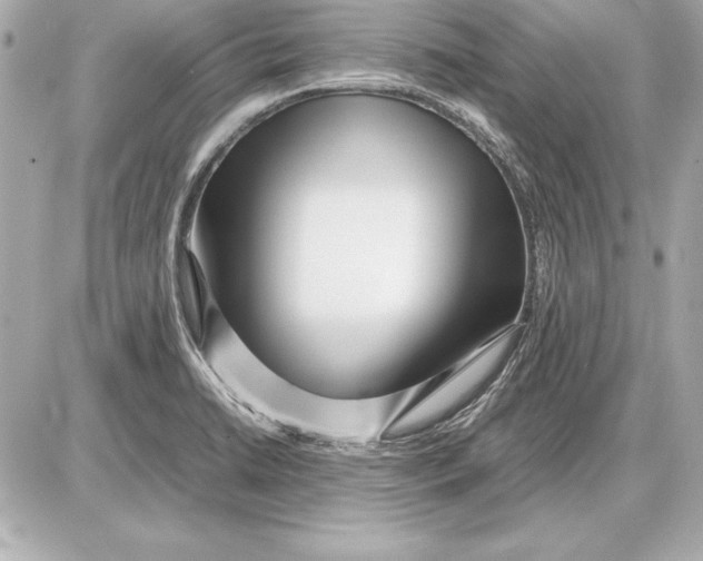 X0000085831422200704091646