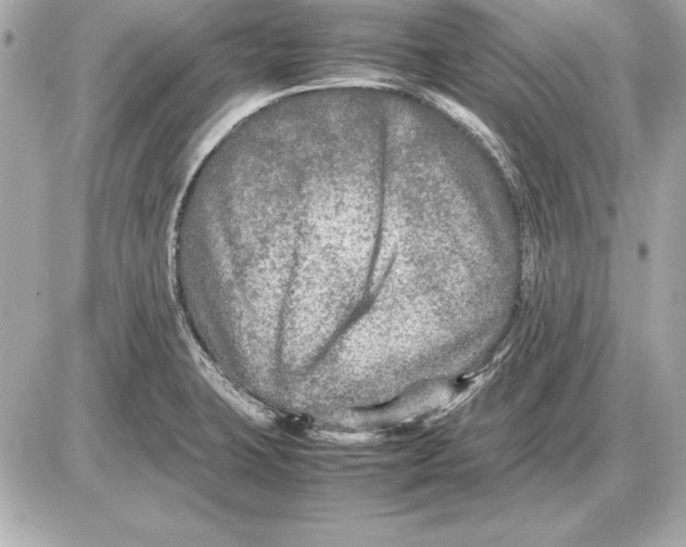 X0000085831423200704091646