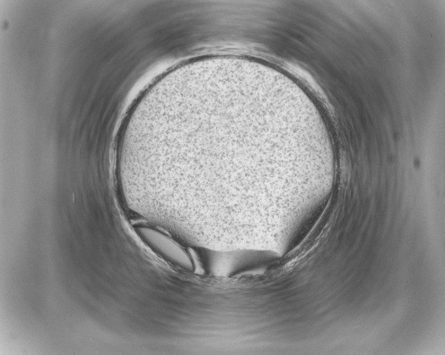 X0000085831424200704091646