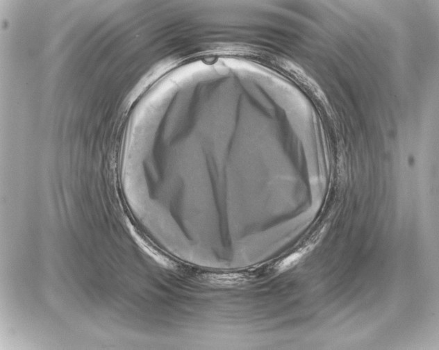 X0000085831425200704091646