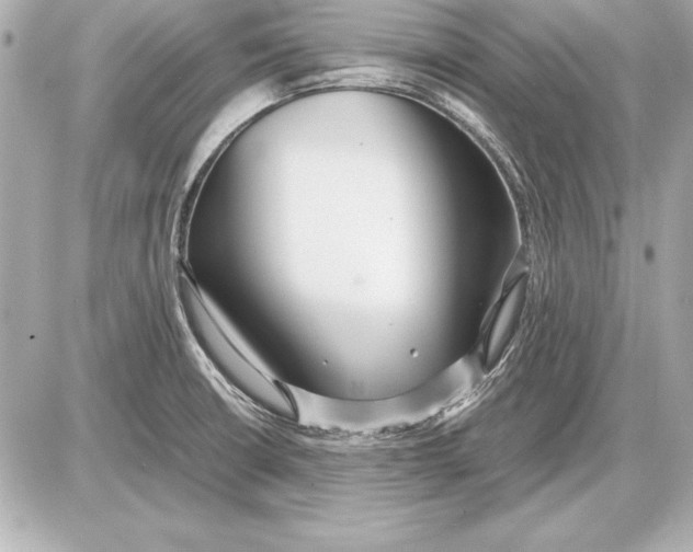 X0000085831426200704091646