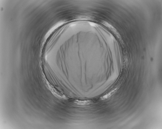 X0000085831427200704091646