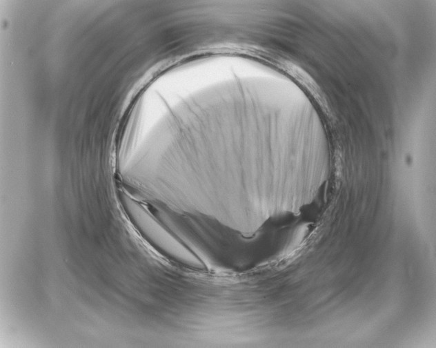 X0000085831428200704091646