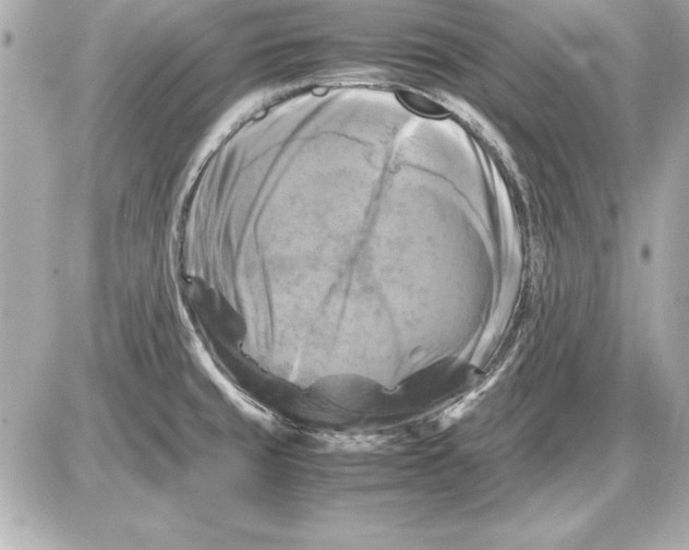 X0000085831429200704091646