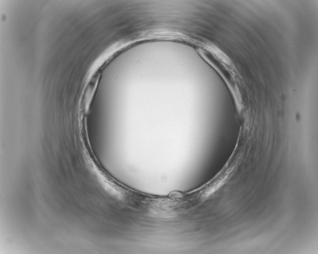 X0000085831430200704091646