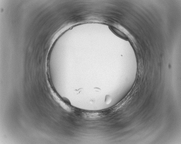 X0000085831431200704091646