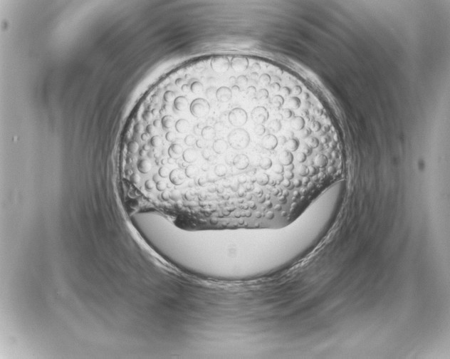 X0000085831432200704091646