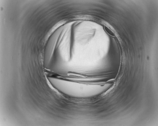 X0000085831433200704091646