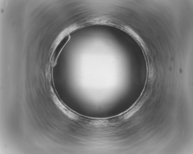 X0000085831434200704091646