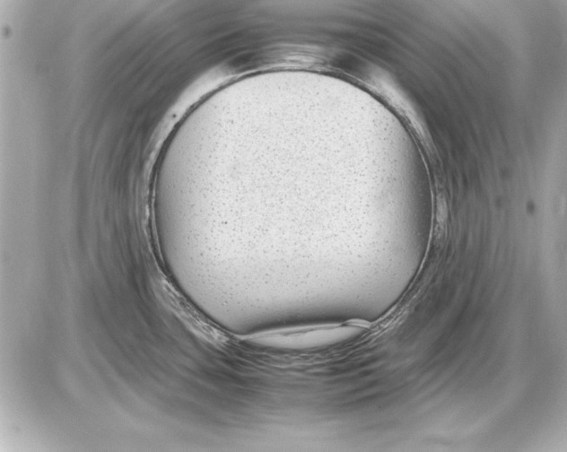 X0000085831435200704091646