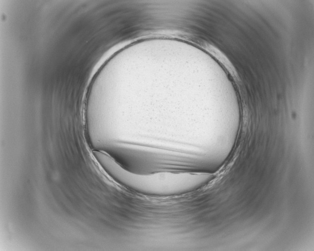 X0000085831436200704091646