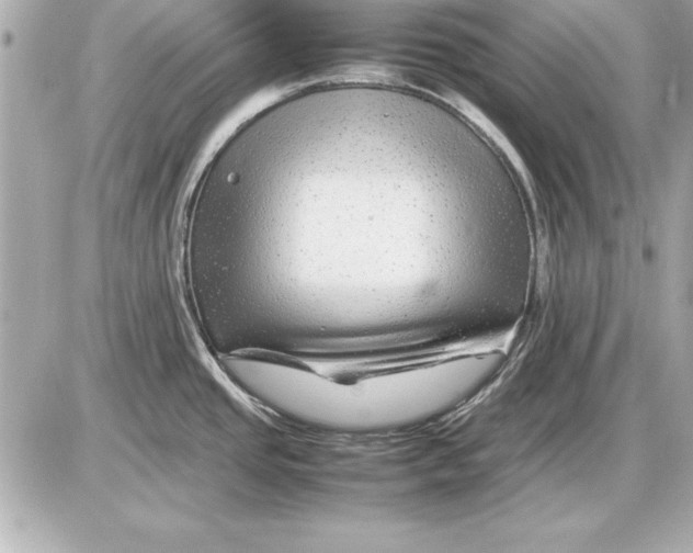 X0000085831437200704091646