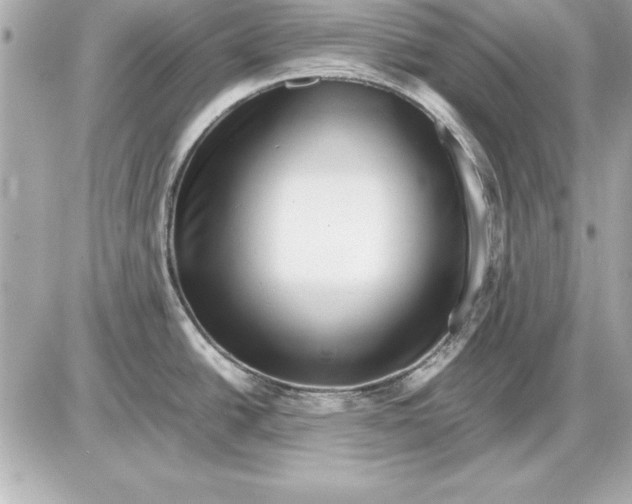 X0000085831438200704091646