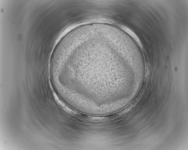 X0000085831439200704091646