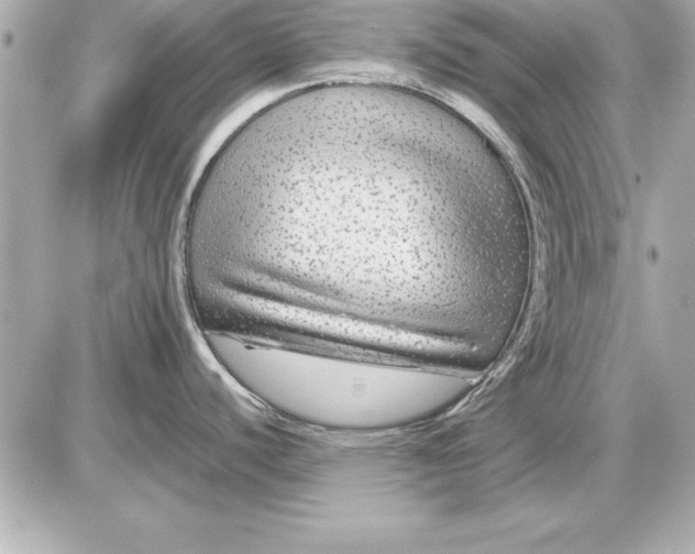 X0000085831440200704091646