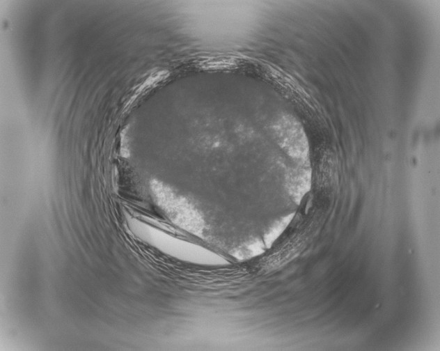 X0000085831441200704091646