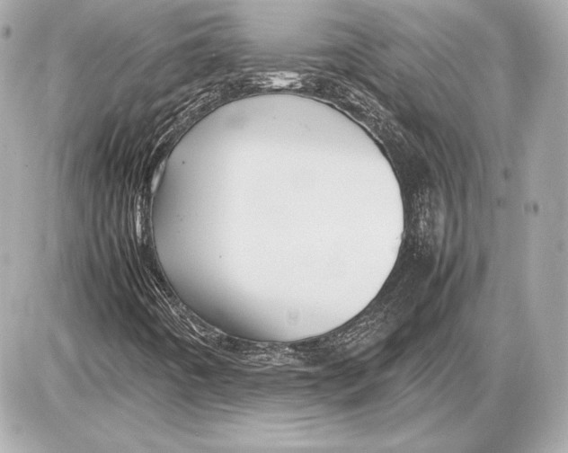 X0000085831442200704091646