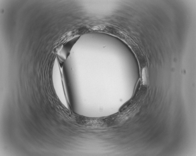 X0000085831443200704091646