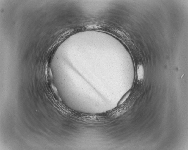 X0000085831444200704091646