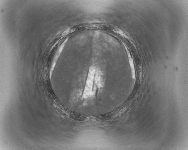 X0000085831445200704091646