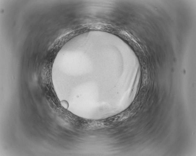 X0000085831446200704091646