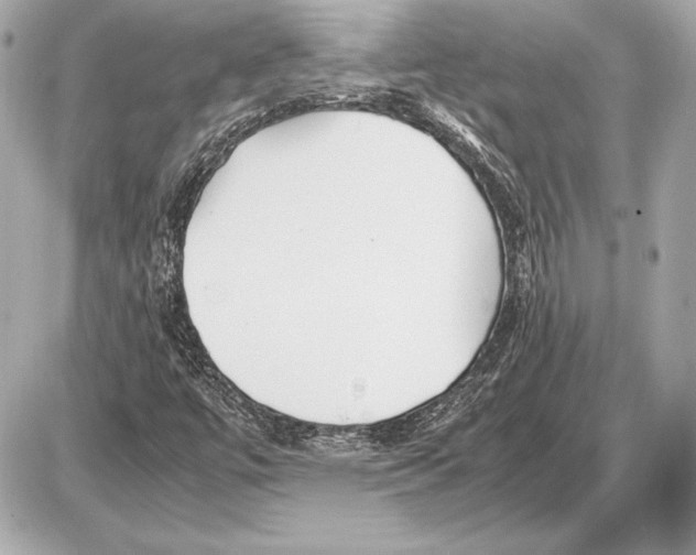 X0000085831447200704091646