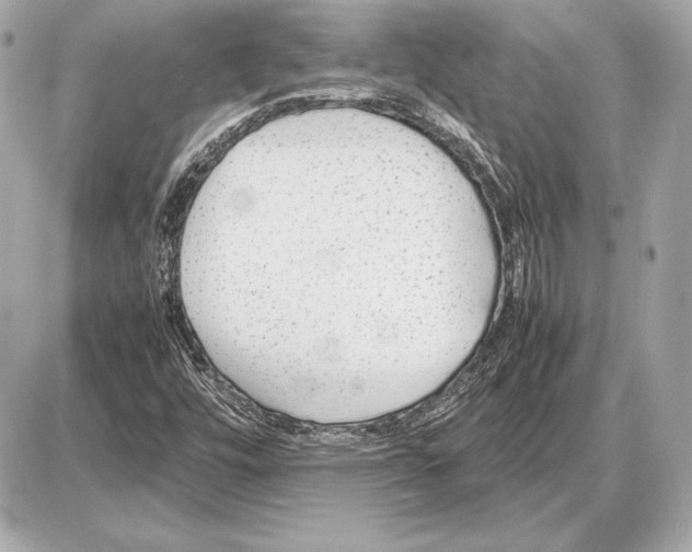 X0000085831448200704091646