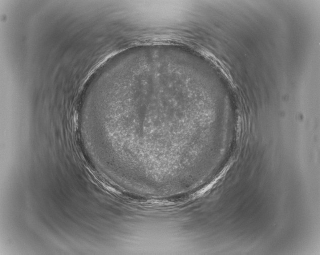 X0000085831449200704091646