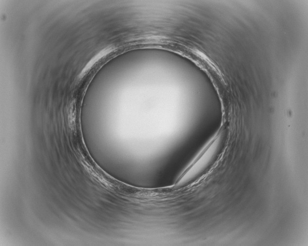 X0000085831450200704091646