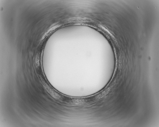 X0000085831451200704091645