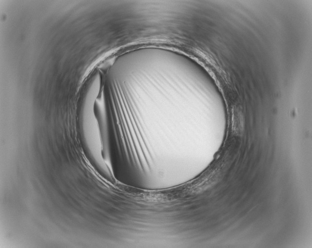 X0000085831452200704091645