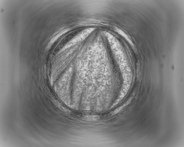 X0000085831453200704091645