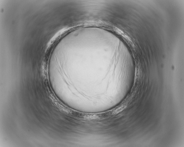 X0000085831454200704091645