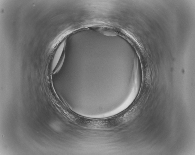 X0000085831455200704091645