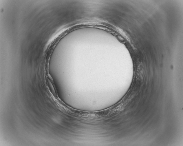 X0000085831456200704091645