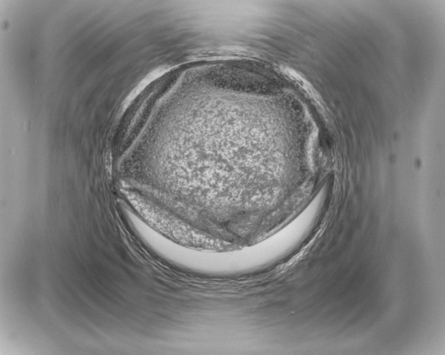 X0000085831457200704091645