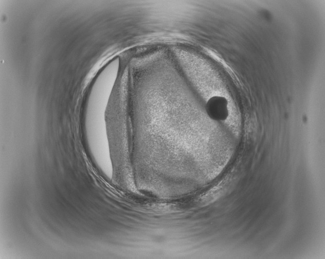 X0000085831459200704091645